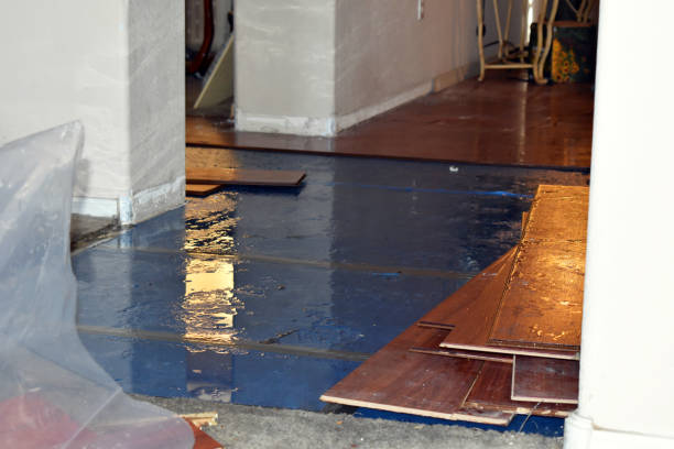 Professional Burst Pipe Cleanup technician working in Wood-Ridge, NJ